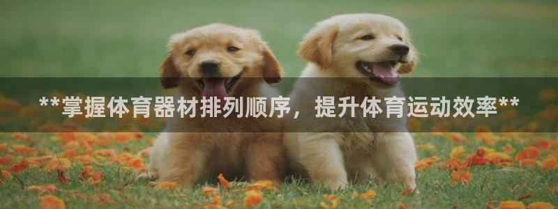 耀世娱乐雷 5O69I7：**掌握体育器材排列顺序，
