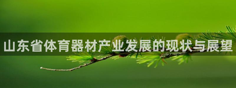 耀世娱乐下载最新版本安装包大全：山东省体育器材产业发