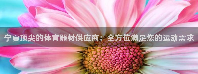 耀世娱乐登陆官网网址：宁夏顶尖的体育器材供应商：全方