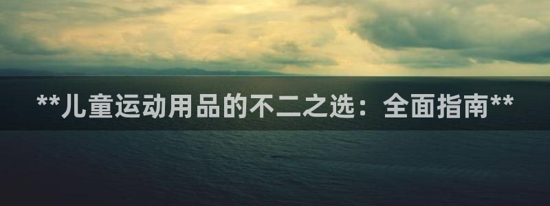 耀世娱乐圈主管什么：**儿童运动用品的不二之选：全面