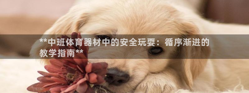 耀世啥意思：**中班体育器材中的安全玩耍：循序渐进的