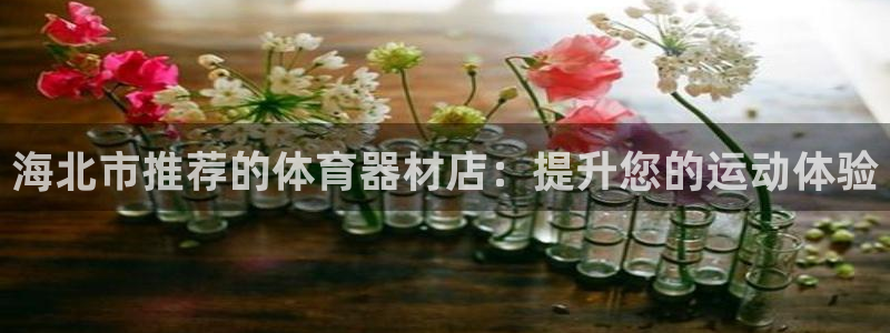 耀世娱乐好不好：海北市推荐的体育器材店：提升您的运动