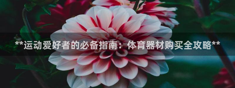 耀世娱乐平台注册地址在哪里：**运动爱好者的必备指南