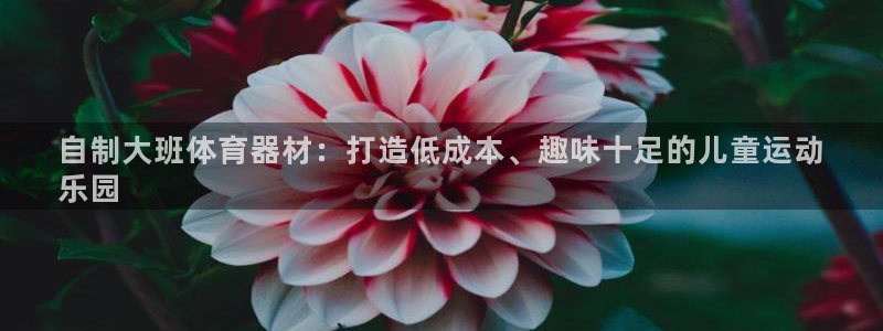 耀世集团是什么电影：自制大班体育器材：打造低成本、趣