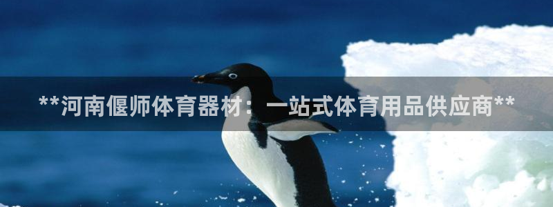 耀世娱乐目 5O6917 耀世：**河南偃师体育器材