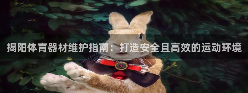耀世集团是什么电影院：揭阳体育器材维护指南：打造安全