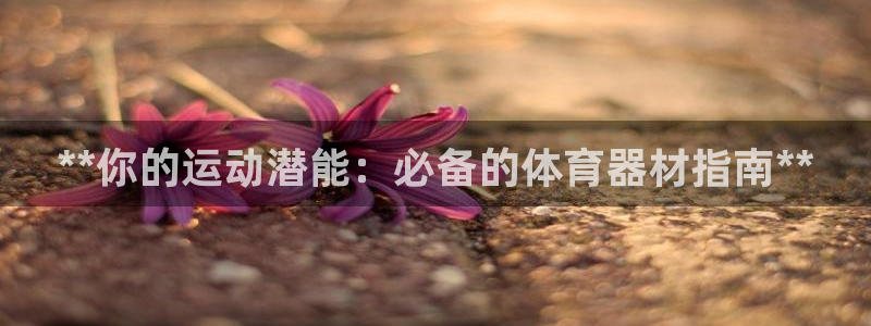 耀世挑战怎么过：**你的运动潜能：必备的体育器材指南