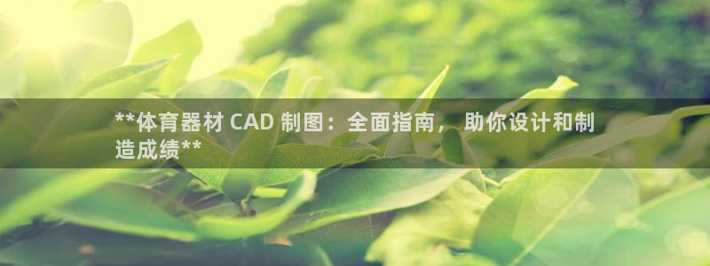 耀世娱乐黑钱吗知乎：**体育器材 CAD 制图：全面