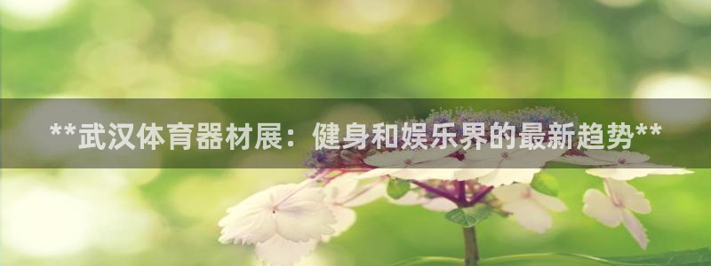 耀世娱乐登陆：**武汉体育器材展：健身和娱乐界的最新