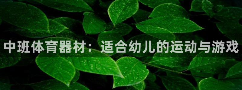 耀世开业：中班体育器材：适合幼儿的运动与游戏