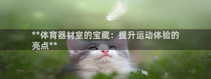 耀世国际平台正规吗可靠吗：**体育器材室的宝藏：提升
