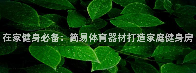 耀世平台重7O777：在家健身必备：简易体育器材打造