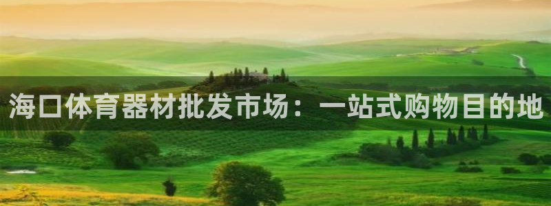 耀世娱乐辅助软件下载安卓：海口体育器材批发市场：一站