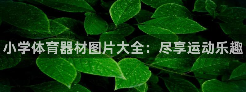 耀世娱乐挂机：小学体育器材图片大全：尽享运动乐趣