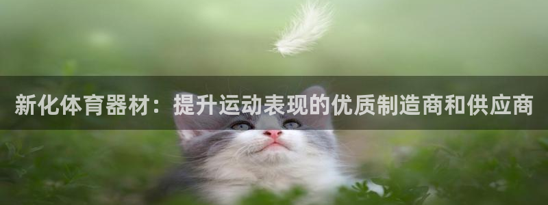 耀世平台app下载安装：新化体育器材：提升运动表现的