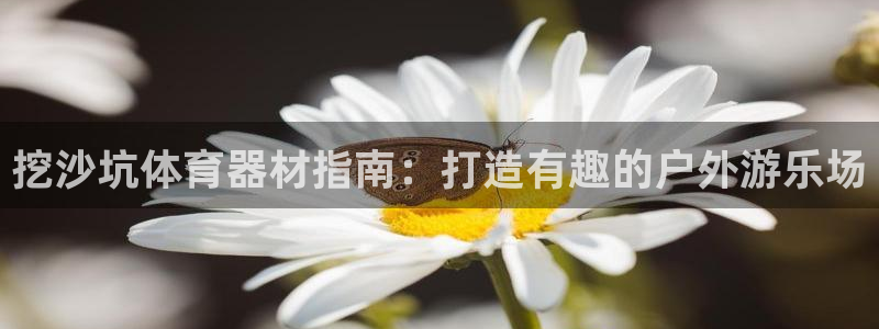 耀世平台有很多登录地址：挖沙坑体育器材指南：打造有趣