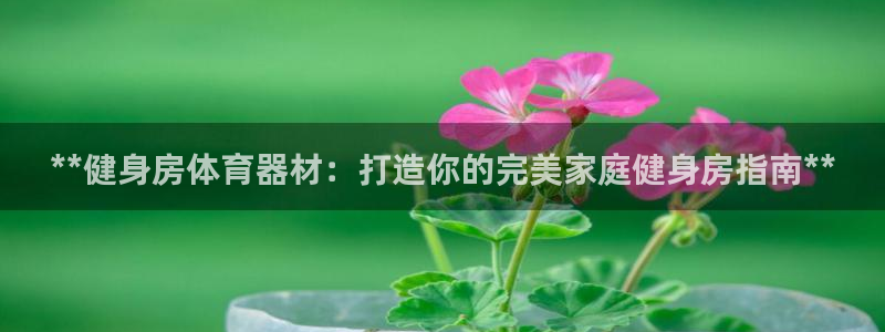 耀世平台皮皮虾怎么样：**健身房体育器材：打造你的完