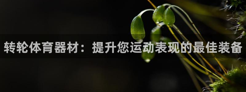 耀世登场什么意思：转轮体育器材：提升您运动表现的最佳