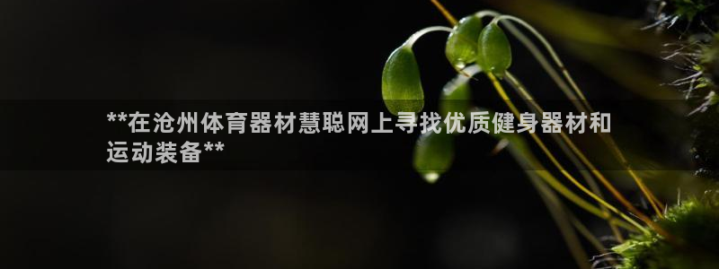 耀世娱乐安全吗知乎：**在沧州体育器材慧聪网上寻找优
