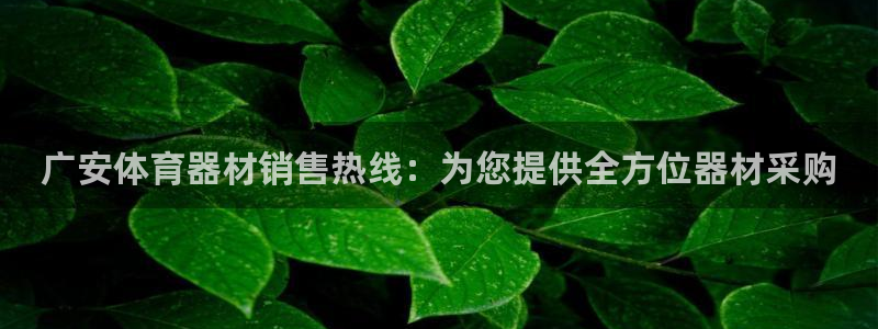 耀世是什么游戏里的人物：广安体育器材销售热线：为您提