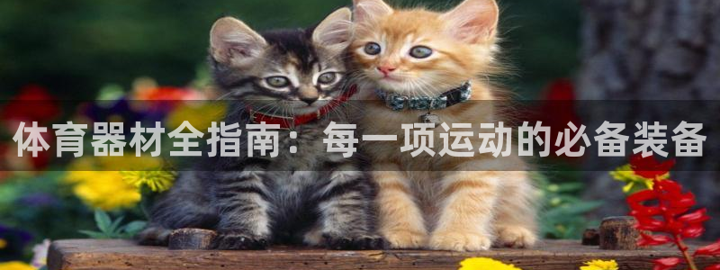 耀世平台易 411031 耀世：体育器材全指南：每一
