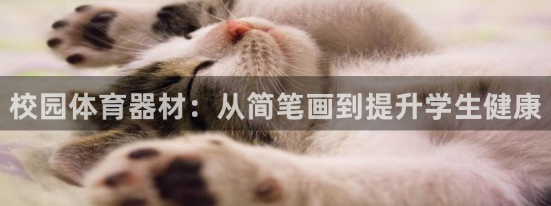耀世娱乐下载链接安装包：校园体育器材：从简笔画到提升
