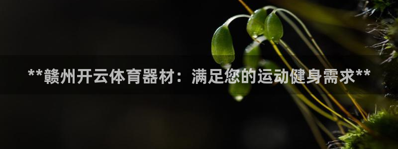耀世娱乐平台官网登录不了了：**赣州开云体育器材：满