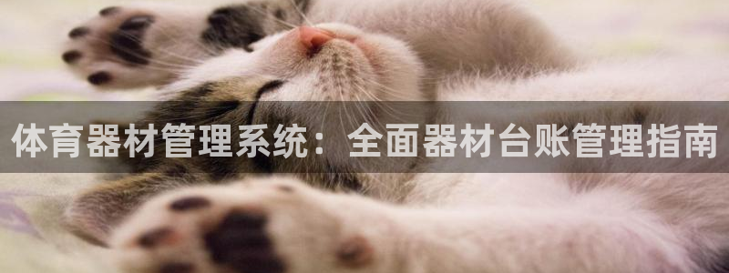 耀世天下和如日中天哪个好：体育器材管理系统：全面器材