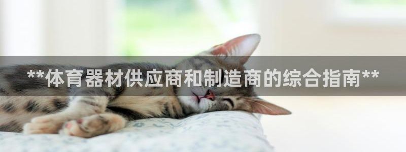 耀世平台产7O777：**体育器材供应商和制造商的综