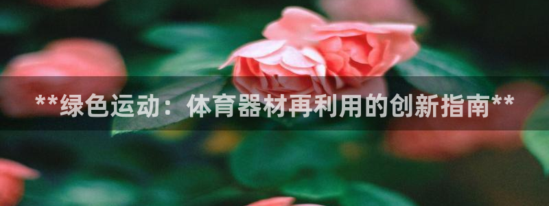 耀世天下的图片唯美：**绿色运动：体育器材再利用的创