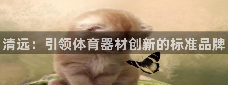 耀世娱乐招商注册 知乎账号：清远：引领体育器材创新的