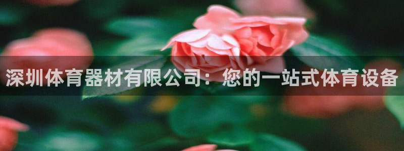 耀世平台开户联4.8.7.7.8.4他系稳定吗：深圳