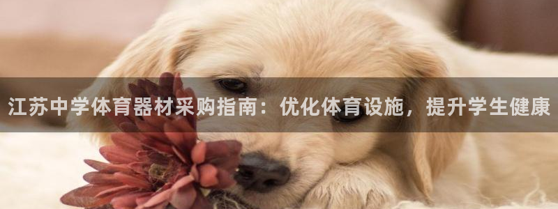 耀世国际集团是国企吗：江苏中学体育器材采购指南：优化体育设施