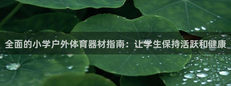 耀世娱乐合法吗：全面的小学户外体育器材指南：让学生保