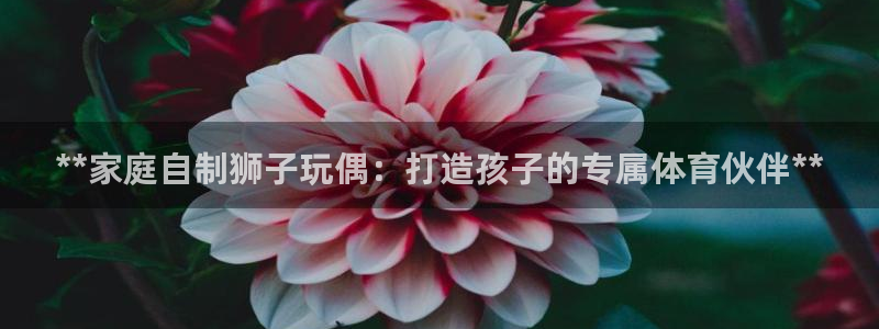 耀世娱乐登录遍333OO：**家庭自制狮子玩偶：打造