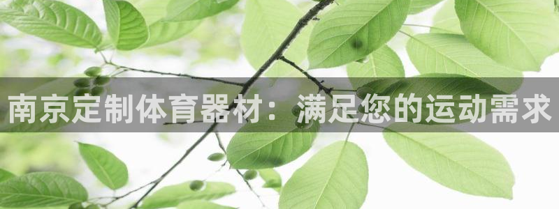 耀世集团的创始人是谁：南京定制体育器材：满足您的运动