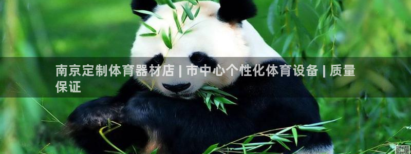 耀世娱乐百科百度：南京定制体育器材店 | 市中心个性