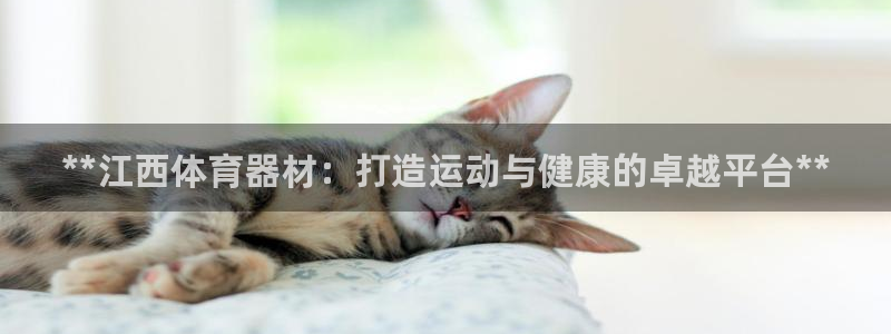 耀世娱乐含山县：**江西体育器材：打造运动与健康的卓越平台*