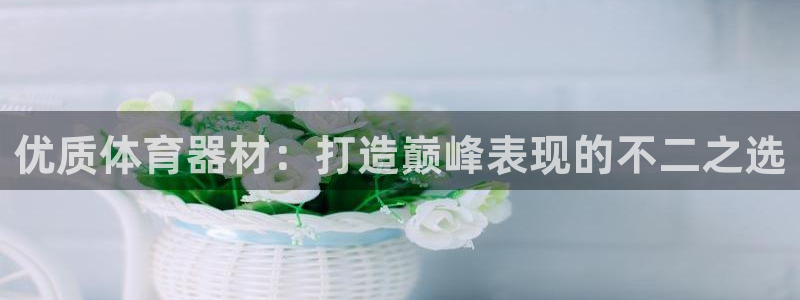耀世娱乐下载链接安装包：优质体育器材：打造巅峰表现的不二之选