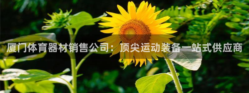 耀世平台日7O777：厦门体育器材销售公司：顶尖运动