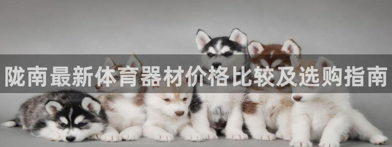 耀世娱乐出款快吗知乎：陇南最新体育器材价格比较及选购指南