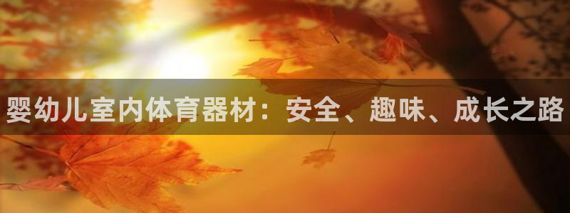 耀世娱乐辅助软件下载安卓：婴幼儿室内体育器材：安全、趣味、成