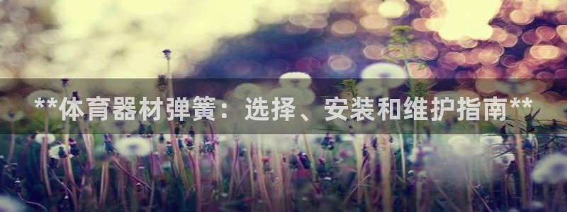 耀世辉煌