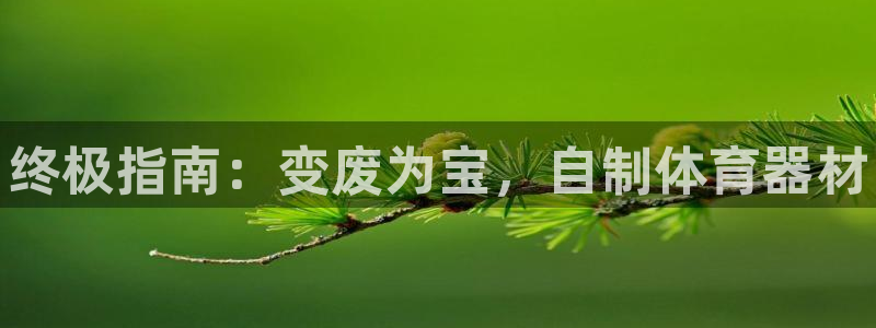 耀世娱乐联 585341：终极指南：变废为宝，自制体