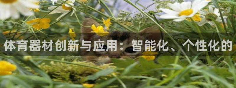 耀世挑战第3关怎么过