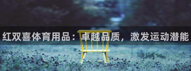 耀世平台有很多登录地址怎么回事：红双喜体育用品：卓越品质，激