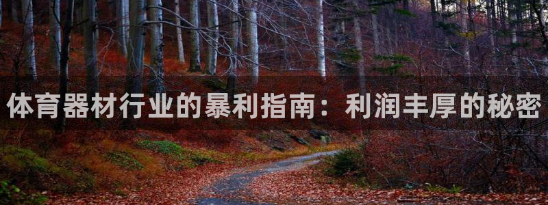 耀世娱乐如何登录账号：体育器材行业的暴利指南：利润丰