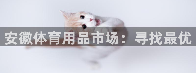 耀世天下搭配一个图片：安徽体育用品市场：寻找最优