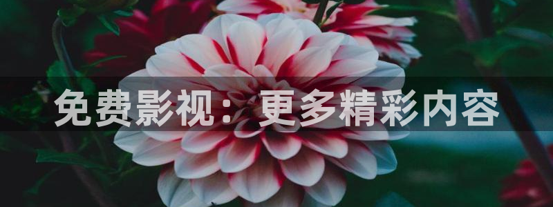 成人依依热影院