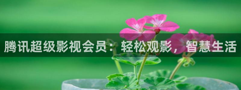 精品国产18久久久久久依依影院